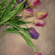 Tip Toe Thru The Tulips Art Print