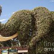 Topiary Elephant Art Print