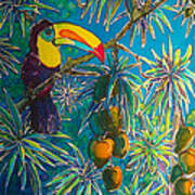 Toucan Tango For Mango Art Print