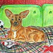 Toy Rat Terrier Art Print