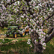 Tractor In The Orchard Art Print
