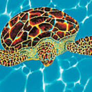 Caribbean Sea Turtle Art Print