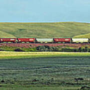 Transportation. Panorama With A Train. Art Print