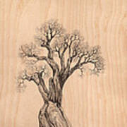 Tree 37 On Wood Art Print