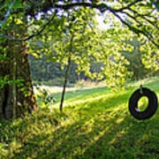 Tree And Tire Swing In Summer Art Print