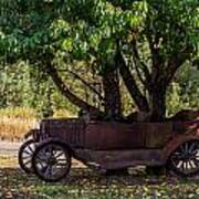 Tree Growing Out Of Old Car - 2 Art Print
