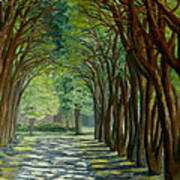 Treelined Walkway At Lsu In Shreveport Louisiana Art Print