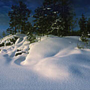 Trees Along A Frozen Lake, Saimaa Art Print