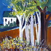 Trees And White Farm House Art Print