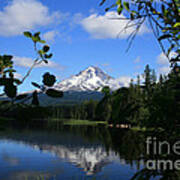 Trillium Lake With Mt. Hood Art Print