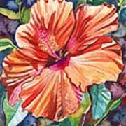 Tropical Hibiscus 5 Art Print