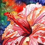 Tropical Pink Hibiscus Art Print