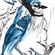 True Blue Jay Art Print