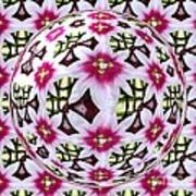 Tulip Kaleidoscope Under Glass Art Print