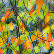 Tupelo Tapestry - Glowing Leaves Art Print
