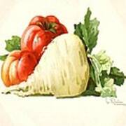 Turnip And Tomato Art Print