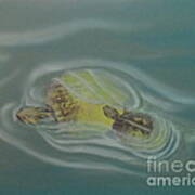 Turtle Pond Iv Art Print
