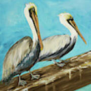 Two Pelicans On Dock Rail Art Print