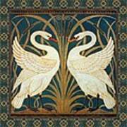 Two Swans Art Print