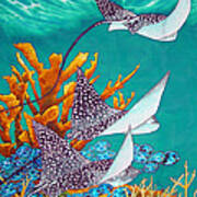 Under The Bahamian Sea Art Print