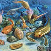 Underwater Life During The Paleozoic Art Print