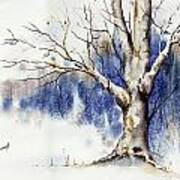 Untitled Winter Tree Art Print