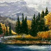 Up Cottonwood Creek Art Print