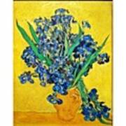 Van Gogh, Irises Art Print
