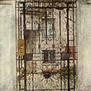 Venice Iron Gate Art Print