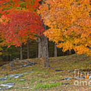 Vermont Autumn Cliche Art Print