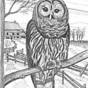 Vermont Barred Owl Art Print