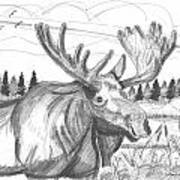 Vermont Bull Moose Art Print