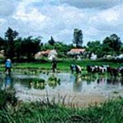 Vietnam Mekong Delta Art Print