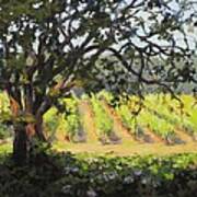 Vineyards Edge Art Print