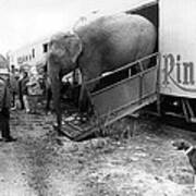 Vintage Circus Elephant Unloading Art Print