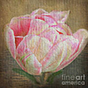 Vintage Paper Tulip Art Print