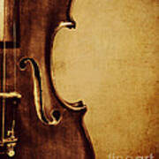 Violin Portrait Art Print