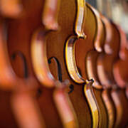 Violins In A Row In A Shop Art Print