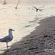 Walking On The Beach Art Print