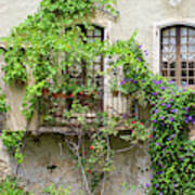 Wall Of House Covered In Climbing Vines Photograph by Jason Langley - Fine  Art America