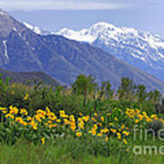 Wasatch Mountains In Spring Art Print