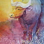 Water Buffalo Art Print