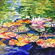 Water Lilies Art Print