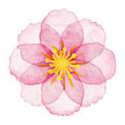 Watercolor Pink Flower Art Print