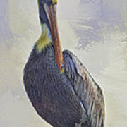 Waterway Pelican Art Print