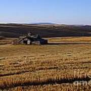 Weathered Barn In Field Art Print