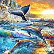 Whale And Dolphins Art Print