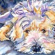 Wheaten Terrier Painting Art Print