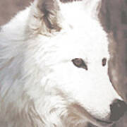 White Dazzle Wolf Art Print