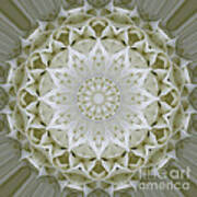 White Floral Mandala 7 Art Print